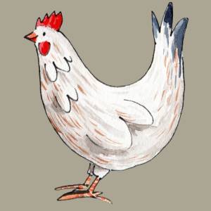 HUHN AQUARELL CLIPART, Hühner-Clipart-Set, Hühner und Kücken zum Downloaden Bild 2