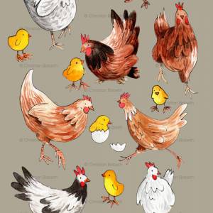 HUHN AQUARELL CLIPART, Hühner-Clipart-Set, Hühner und Kücken zum Downloaden Bild 3