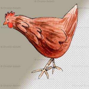 HUHN AQUARELL CLIPART, Hühner-Clipart-Set, Hühner und Kücken zum Downloaden Bild 4