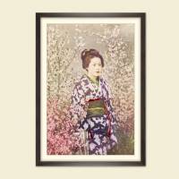 Portrait Geisha mit Kirschblüten Vintage, Japanische Kunst gerahmter Kunstdruck Bild - Collotype ca. 1880 - Geschenk Bild 1