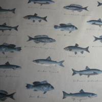 12,60 EUR/m Canvas Fische auf naturbeige Leinenoptik / See, Meer Bild 2