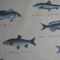 12,60 EUR/m Canvas Fische auf naturbeige Leinenoptik / See, Meer Bild 4