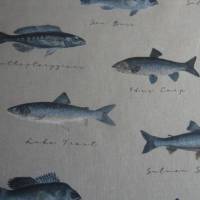 12,60 EUR/m Canvas Fische auf naturbeige Leinenoptik / See, Meer Bild 5