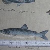 12,60 EUR/m Canvas Fische auf naturbeige Leinenoptik / See, Meer Bild 7