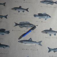 12,60 EUR/m Canvas Fische auf naturbeige Leinenoptik / See, Meer Bild 8