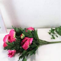 Pfingstrose pink, Deko Blumen, Floristikbedarf Bild 6
