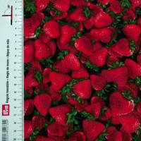 19,00 EUR/m Meterware Timeless Treasures Fruit Erdbeeren US-Designerstoff für Kissen Decken Taschen Küchen-Accessoires Bild 1