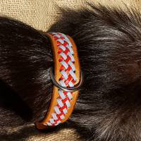 Hundehalsband mit 2 farbiger Flechtung (HH 29) Bild 3