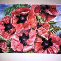 Großes original Pastellkreide - Bild, rote Mohnblumen, 62,5 cm x 47,5 cm Bild 1