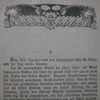 Ludwig Ganghofer -  gesammelte Schriften - Volksausgabe - erste Serie Bild 4