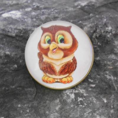 Niedliche Eule Kautz Uhu  Brosche 30 mm  rund mit Glascabochon 