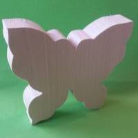 Schmetterling1 Bild 1