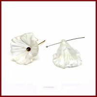 2 weiße XL Blüten Kelche Perlenkappen aus Acryl Lucite, matt, gefrostet, 35x30mm transluzent Bild 2