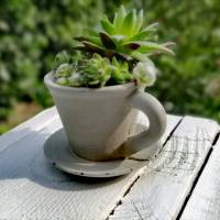 Kaffeetasse zum Bepflanzen Betondeko Pflanzkopf Pflanzgefäß Blumentopf Pflanztopf Büste Blumengefäß Übertopf Tasse Espre Bild 3