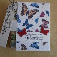 Geldgeschenk zum Geburtstag Reagenzglas Verpackung Geldverpackung Wunscherfüller Geburtstagsgeschenk Schmetterling Bild 3