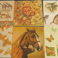 6 Servietten / Motivservietten Katzen / Pferde / wilde Tiere Afrika /   verschiedene Tiermotive Mix 51 Bild 1