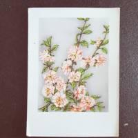 Kunstkarte, Postkarte, vintage, Malerei, Blumenkarte mit Hagebuttenblüten, AFKJ Bild 1