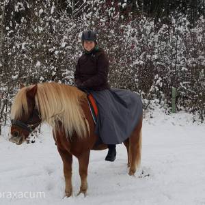Reitrock Softshell grau mit Klett, XS-XL Wickelrock bordeaux, Pferd und Reiter, reiten im Winter, langer Rock Fotoshooti Bild 8