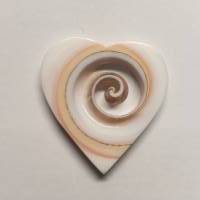 Ein Herz aus dem Meer!  Wunderschöne Herz-Perle aus einer Meeresschnecke geschnitten. 100% Natur Bild 1