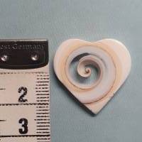 Ein Herz aus dem Meer!  Wunderschöne Herz-Perle aus einer Meeresschnecke geschnitten. 100% Natur Bild 2