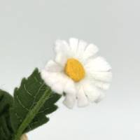 Gänseblümchen - Jahreszeitentisch  - Sommer - Blumenkinder Bild 6