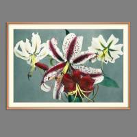 Japanische Kunst  - Lilien Blumenbild 1896 -  Kunstdruck Poster Druck  -  Vintage - Collotype - Fotogemälde - Geschenk Bild 2