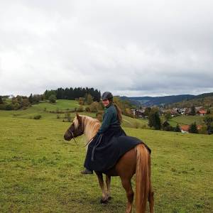 Reitrock dunkelblau Wolle, Wickelrock nachtblau, Pferd und Reiter Herbst, reiten im Winter, langer Rock Fotoshooting Bild 8