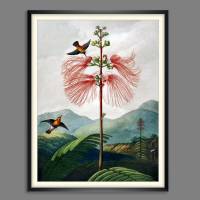 Große Mimose Illustration Blumenbild 1799 Vintage Shabby Boho - Kunstdruck Fineart - Wanddekoration Bild 2