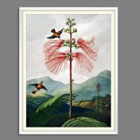 Große Mimose Illustration Blumenbild 1799 Vintage Shabby Boho - Kunstdruck Fineart - Wanddekoration Bild 4