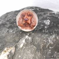 Cocker Spaniel Hund  versilbert Ring  rund mit Glascabochon Bild 1