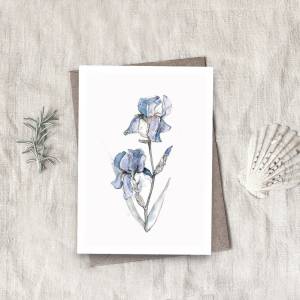 2 er Set Iris Blume Postkarten, frühling Postkarte, Muttertag Postkarte Bild 3