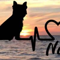 Aufkleber Herzlinie Heartbeat Hund West Highland Terrier Bild 1