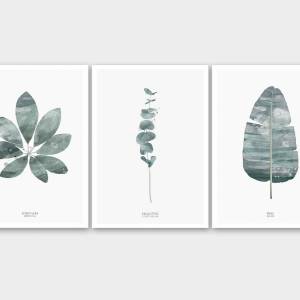 Set von 3 botanischen Kunstdrucken, moderne Wohnzimmer Kunstdrucken Bild 2