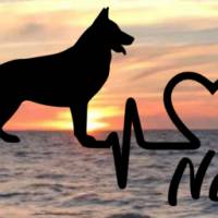 Aufkleber Herzlinie Heartbeat Hund Schäferhund kurzhaar Bild 1