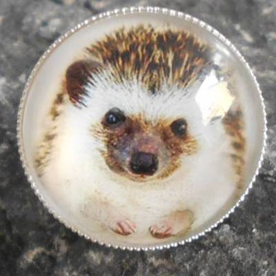 Igel  versilbert Ring  rund mit Glascabochon 