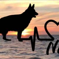 Aufkleber Herzlinie Heartbeat Hund Schäferhund langhaar Bild 1