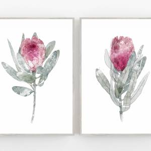 2 er Set Protea Blüten Kunstdrucke, botanische Kunstdrucke Bild 1