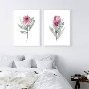 2 er Set Protea Blüten Kunstdrucke, botanische Kunstdrucke Bild 5