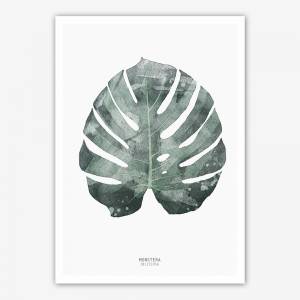 Monstera-Blatt Kunstdruck, Botanischer Kunstdruck, Wohnzimmer Wandkunst, Schlafzimmer Poster Druck Bild 2