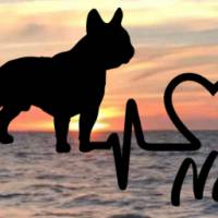 Aufkleber Herzlinie Heartbeat Hund Französische Bulldogge Bild 1