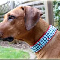 Halsband PAWs oder DOTs mit Zugstopp für deinen Hund Hundehalsband Martingale rot türkis oder braun Bild 6