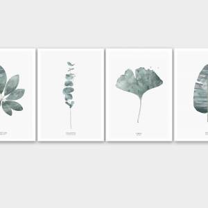 Set von vier botanischen Kunstdrucken, Wohnzimmer Wandkunst, Schlafzimmer Drucke, Büro Drucke Bild 5