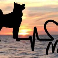Aufkleber Herzlinie Heartbeat Hund Husky Bild 1