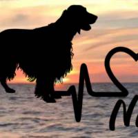 Aufkleber Herzlinie Heartbeat Hund Irish Setter Bild 1