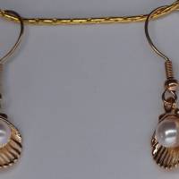 Sommer-Look - feines Ohrringset mit goldfarbenen Muscheln-Charms Bild 1