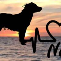 Aufkleber Herzlinie Heartbeat Hund Markiesje Bild 1