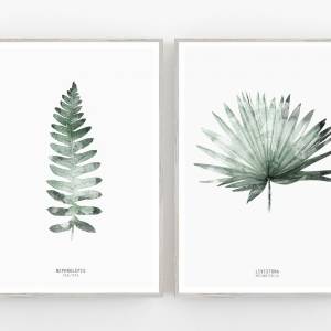 2er Set botanische Kunstdrucke, Farnblatt zusammen mit Palmenblatt. Schlafzimmer Wandkunst Kunstdrucke Bild 1