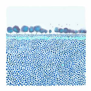 Aquarell Blaue Wiese - Kunstdruck Bild 3