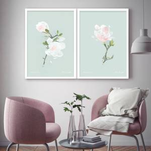 Set von zwei Magnolieblüten Kunstdrucken, weiße Frühlingsblumen Kunstdruck Bild 2