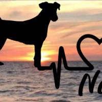 Aufkleber Herzlinie Heartbeat Hund Person Russel Terrier Bild 1